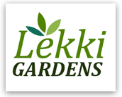 necci clients lekki gardens