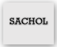 necciconsulting clients sachol