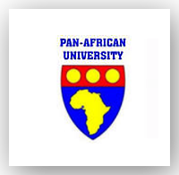 necciconsulting client pan